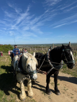 0c17bd07-img-20260428-wa0006.jpeg