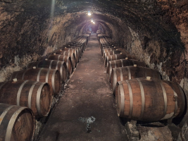 Největší slovenské sklepy vinařství TOKAJ & COMPANY