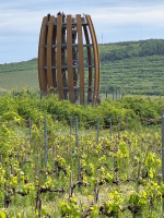 Rozhledna Tokaj uprostřed tokajských vinohradů