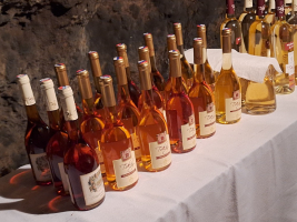 Vína k degustaci ve vinařství TOKAJ & COMPANY