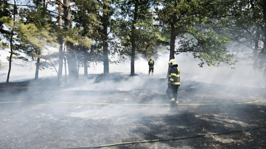 Na Znojemsku platí zvýšené nebezpečí požárů. Zakázané jsou ohně i pyrotechnika