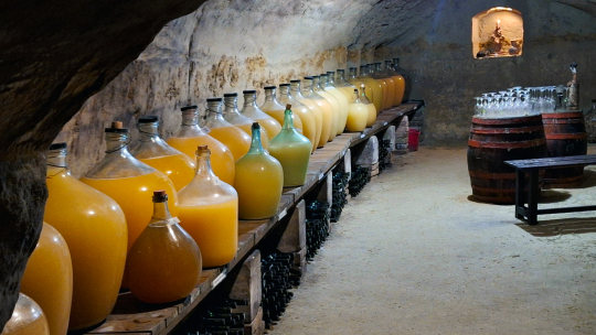 Do Chvalovic za mladými víny