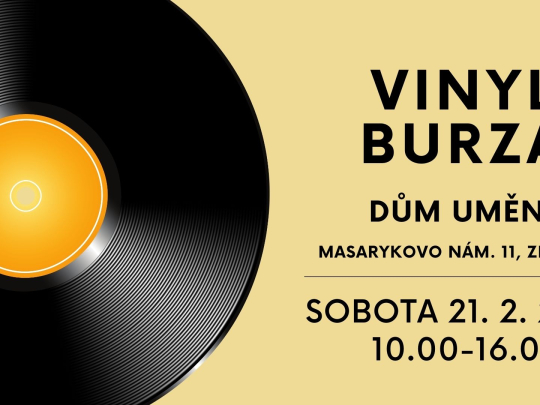 038a6adb-vinyl-burza.jpeg