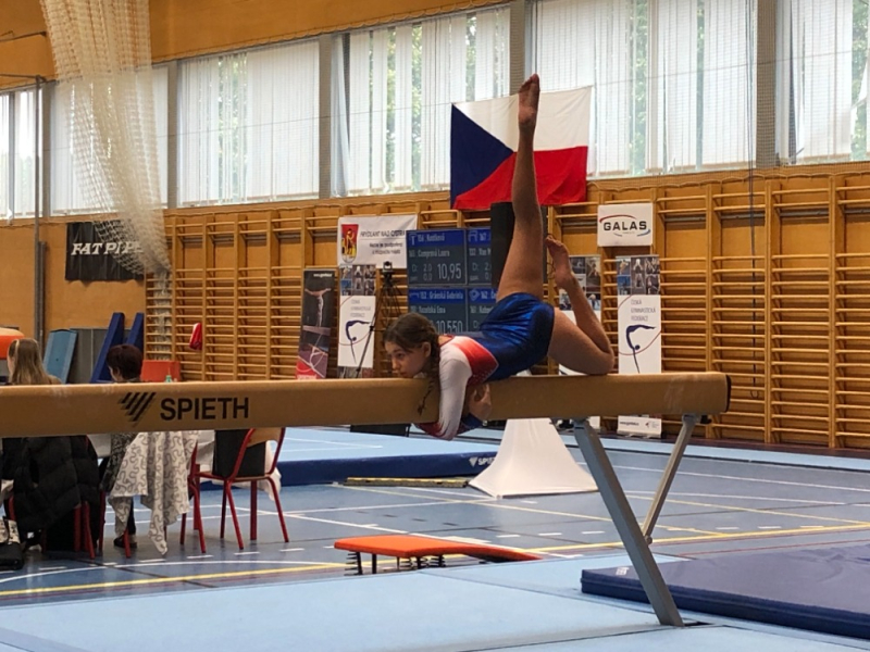 31e5000f-gabriela-granska-1.jpeg