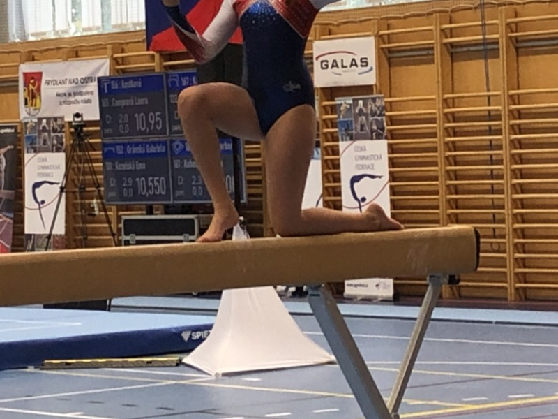 87330c5e-gabriela-granska-2.jpeg