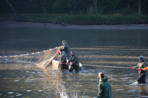 173bd850-dsc-0043.jpeg