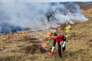 foto: J. Pergl, Národní parku Podyjí.