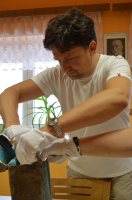 241fc2e4-dsc-1507.jpeg
