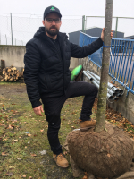 David Bětík s více než třísetkilogramovým balem lípy, kterou čeká vysazení právě tam, kde se jí bude dařit dlouhodobě nejlíp. foto: -TIK-