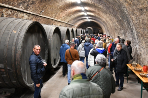Sudy ve sklepě v Lechovicích dokázaly pojmout velké množství vína.