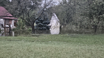 27ddc4a0-1000037790.jpeg