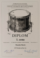 2ee3e125-diplom.jpeg