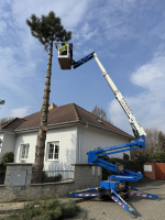 David Bětík má práci ve výškách doslova v krvi – lezení po horách a stromech bylo jeho vášní už od mládí. V arboristice svou schopnost může uplatnit se stoprocentním efektem. foto: archiv -DB-