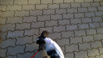 533da497-20250303-151008.jpeg