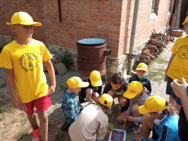 5571d732-img-20260722-093114.jpeg