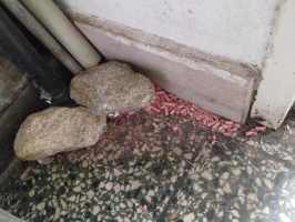 foto: Státní zemědělská a potravinářská inspekce.
