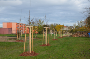 Blížkovice