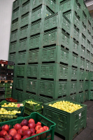 Zásoby jablek v chladírnách by měly vydržet aspoň do konce března.