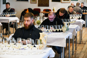 778c0aad-zrodila-se-dalsi-kolekce-vin-4.jpeg