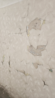 8a82e183-20250617-103753.jpeg