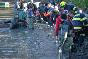 a4cffe31-dsc-0206.jpeg