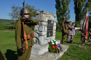 Čestnou stráž drželi s vojáky také Sokolové.