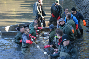 ab33ff37-dsc-0266.jpeg