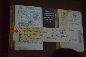 Dobový zápis o jednookém koni se jménem Žižka.