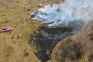 foto: J. Pergl, Národní parku Podyjí.