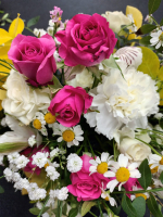 b66c6a3d-whatsapp-image-2026-04-29-at-22.51.42.jpeg