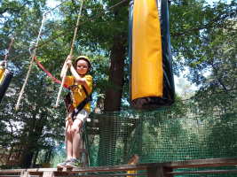 bb543b88-img-20260722-131047.jpeg