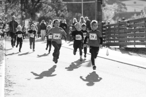 ccb37e14-241-img-2764.jpeg