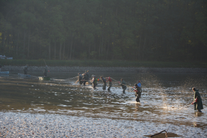 d391a933-dsc-0033.jpeg