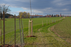 Blížkovice