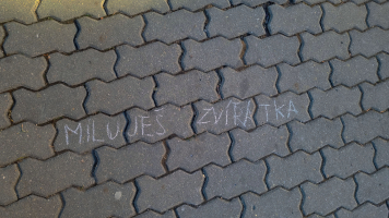 de638041-20250303-151000.jpeg