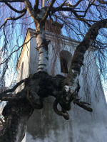 e12d43d9-podveueern-bloudon-2.jpeg