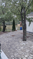 e5d42b10-1000037792.jpeg