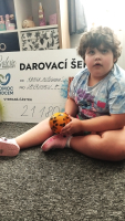e5e1dd3e-vytezek-z-charitativni-vystavy-2.jpeg