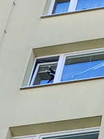 e8908893-pzn-101-2026-05-19-9b5fdced.jpeg