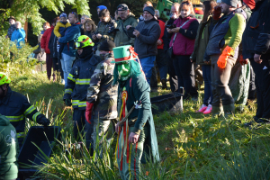 e8c9a969-dsc-0232.jpeg