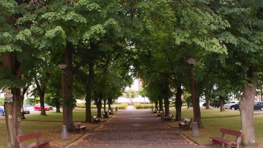 Alej zviditelnili díky anketě