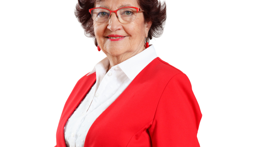 Bylo nebylo Poctivé Znojmo