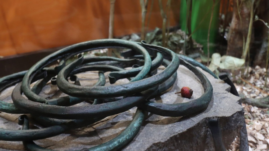 Na Alšovce ukážou, co předchází cestě archeologických nálezů do vitríny