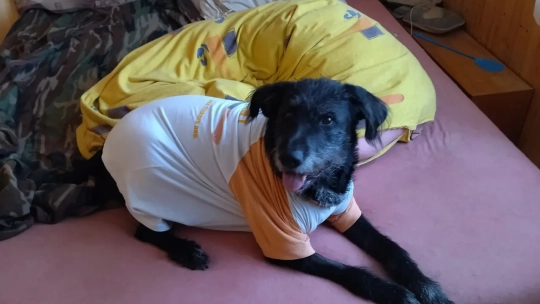 Rozdávala lásku, teď očima prosí o pomoc