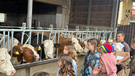 Děti zachraňovaly Ztracené království zvířat