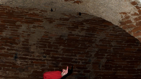 Kam se v mrazech schovali netopýři? Lednové sčítání hledalo odpovědi