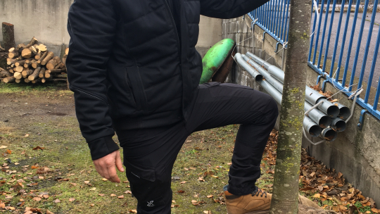 Arboristé vědí svoje, když říkají, že svůj význam má i strom mrtvý