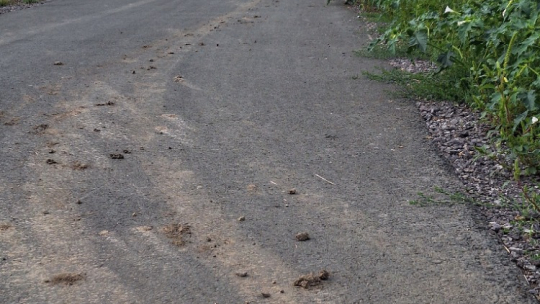 Kdo je na cyklostezce pánem