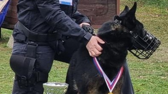 Kateřina Illková s Kevinem na druhém místě