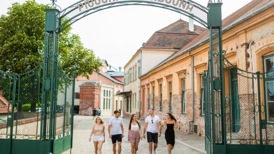 Pivní stezka Znojmem